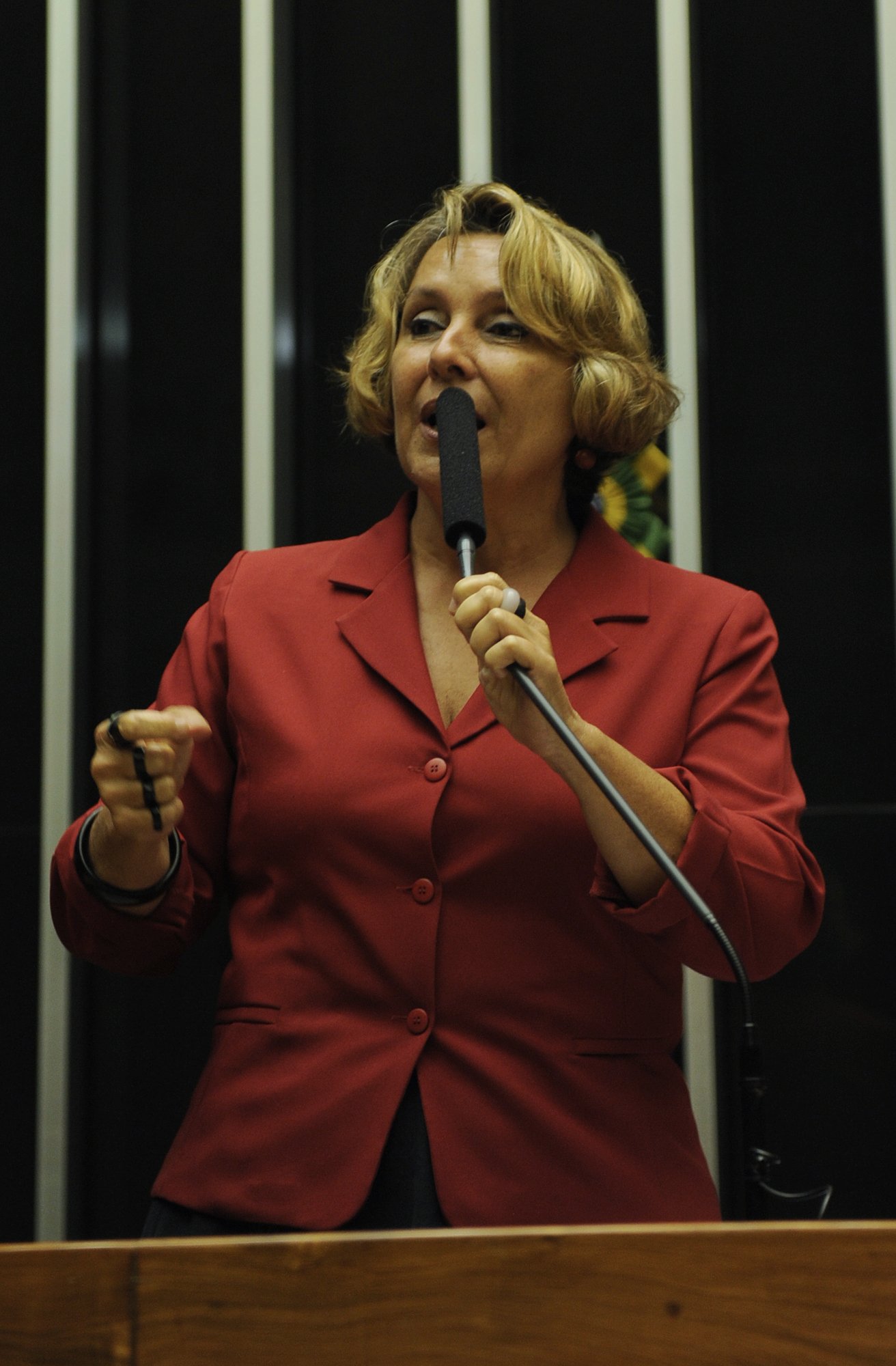 erika kokay Deputada Erika Kokay