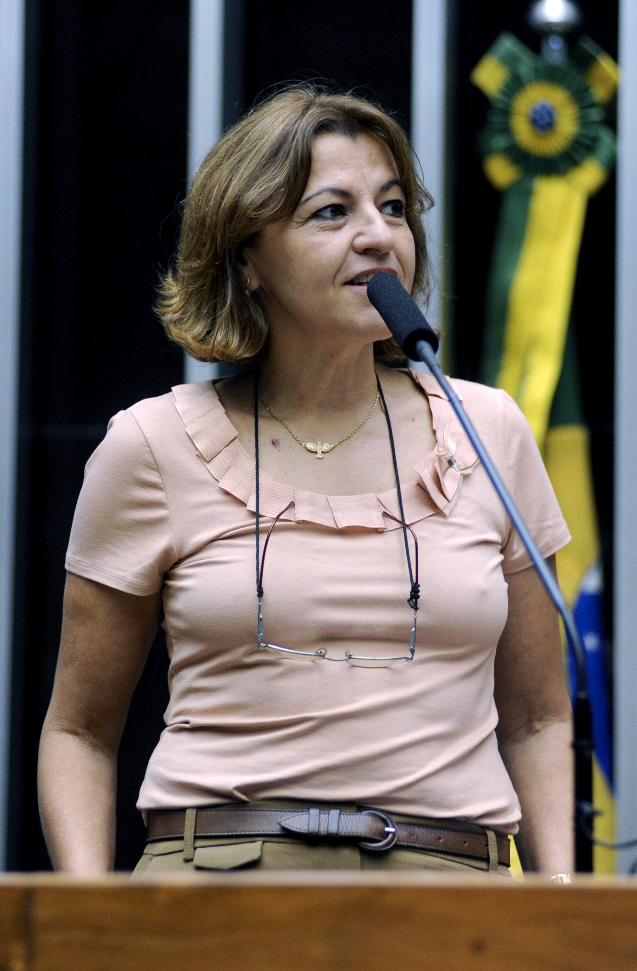lourdes Lourdes Lima, Presidente da Federação Brasileira de Associações de Síndrome de Down