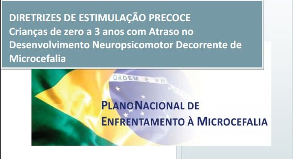 Diretrizes-de-Estimulacao-Precoce - bandeira do brasil.