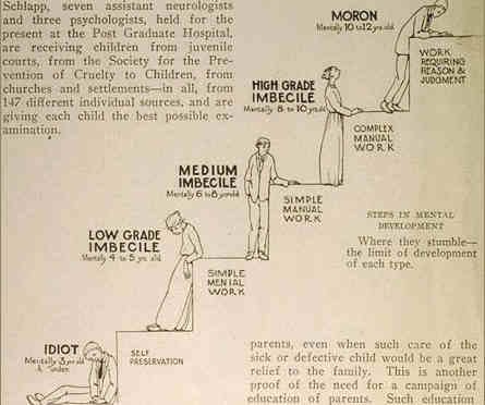 ilustração em inglës mostra escada com bonecos subindo os degraus, o degrau mais baixo "idiota", "imbecil grau baixo", "imbecil médio", "imbecil alto nível", e "moron".