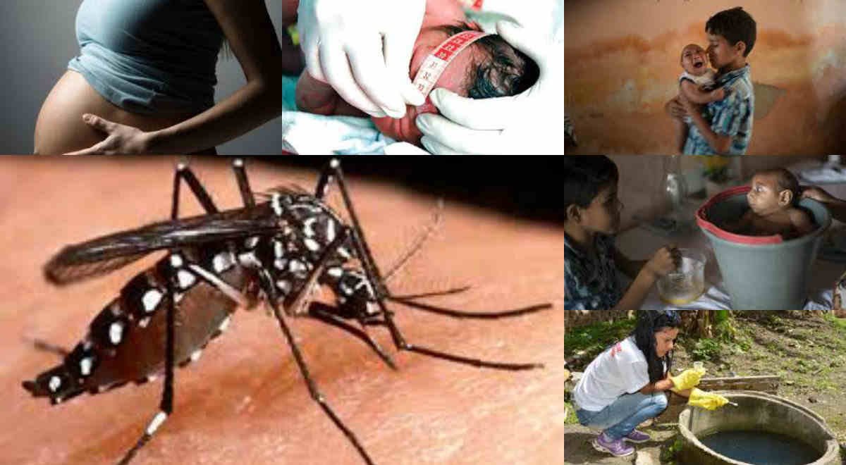 collage of various photos: babies head being measured, mosquito biting skin, belly of pregnant woman, boy holding baby with microcephaly, baby with microcephaly in a bucket while the boy looks after him, woman with gloves putting product in water container.