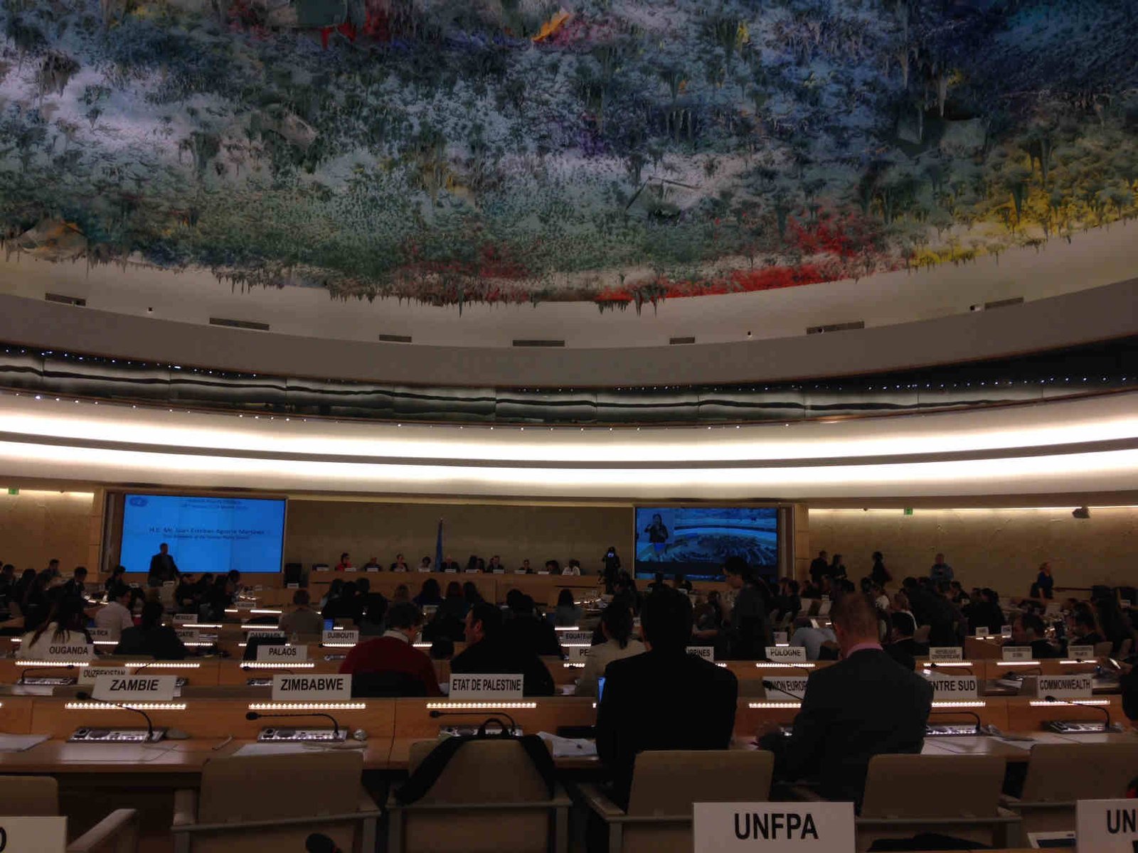 Council of Human Rights Conference Room, full of delegates.