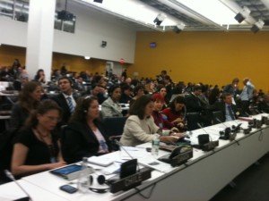 Plenária da ONU - Embaixadora Maria Luiza Viotti, Senador Lindbergh Farias e Ana Paula Crosara.